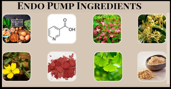 Endo Pump Ingredients