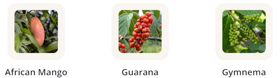 Glucotonic Ingredients - African Mango, Guarana, Gymnema
