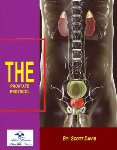 The Prostate Protocol Reviews
