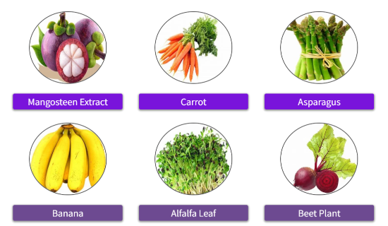 Ultra-Boost-Juice Ingredients